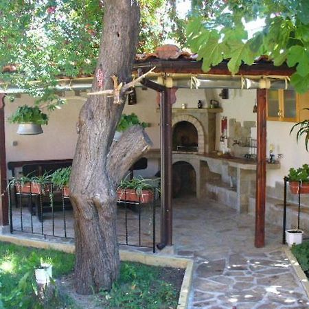 Guest House Alex Chernomorets Dış mekan fotoğraf