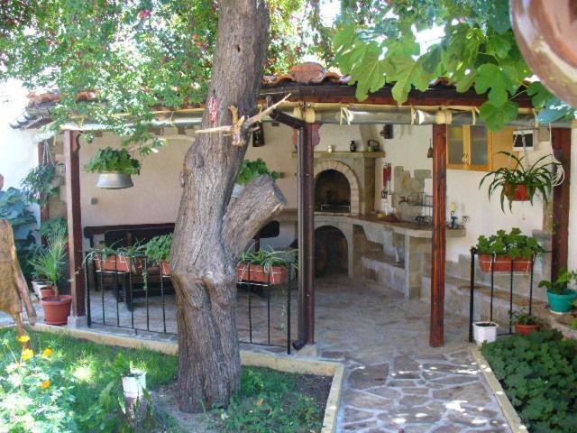 Guest House Alex Chernomorets Dış mekan fotoğraf