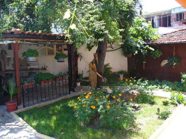 Guest House Alex Chernomorets Dış mekan fotoğraf